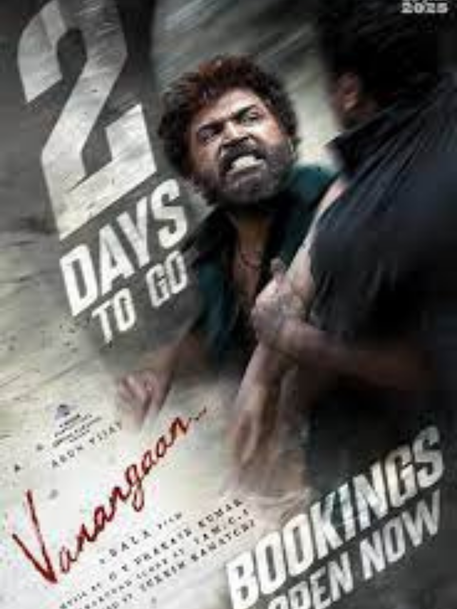 Vanangaan 2025 Tamil 1080p | 720p | 480p PreDVDRip