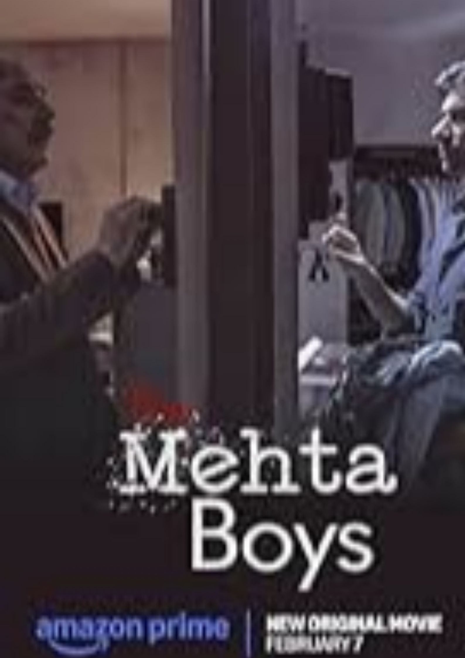 The Mehta Boys (2024)  Hindi + Multi 480p | 720p |1080p